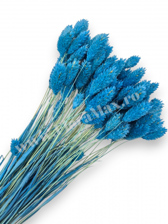 Talaris - Talaris Uscat – Flori Decorative pentru Aranjamente Florale, Nunti si Botezuri