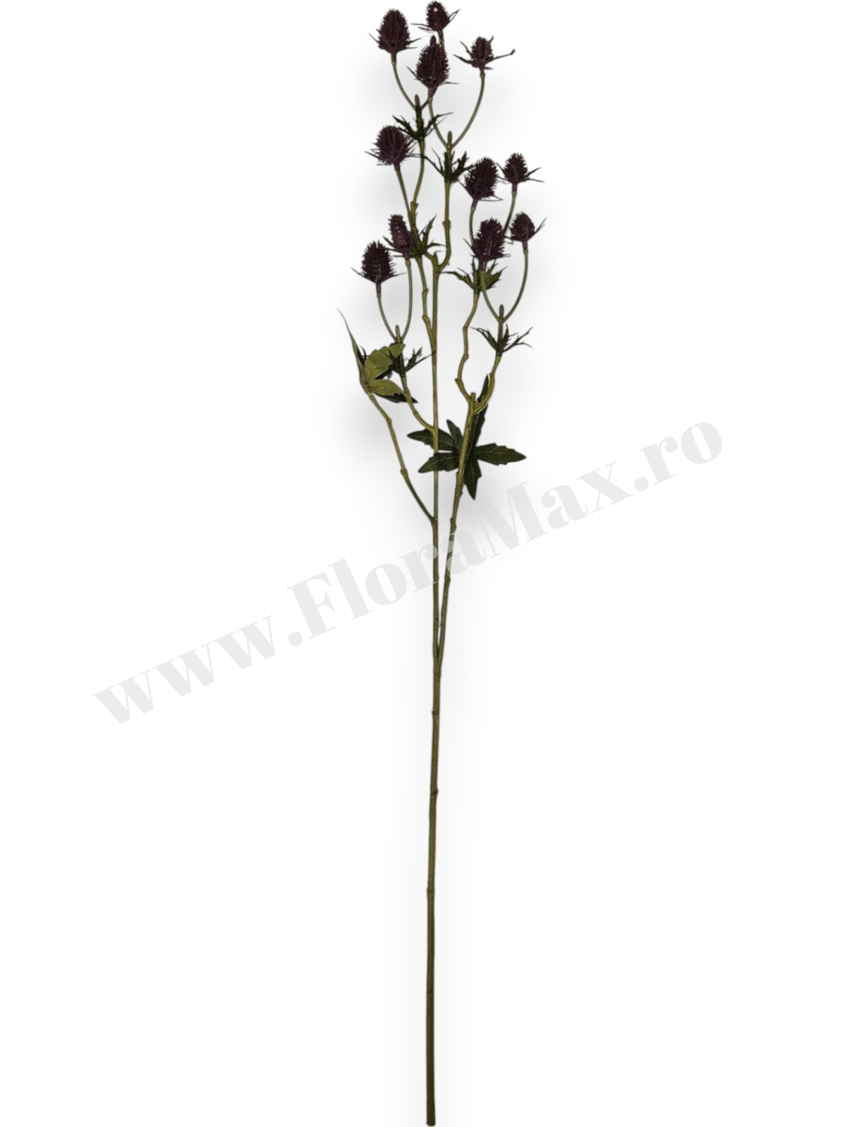 Fir Verdeata Ciulini Artificiali Pentru Nunta Si Decoruri Evenimente Fir Verdeata Ciulini Artificiali Pentru Nunta Si Decoruri Evenimente
