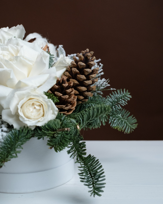 Rasuflare de nea [2]