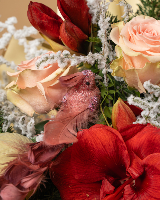 Buchet Cântec de iarnǎ [2]