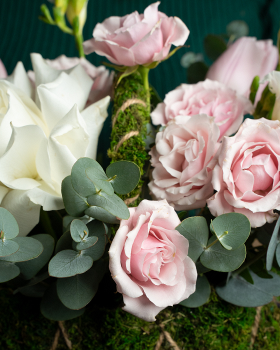 Coşuleț Delicat [4]