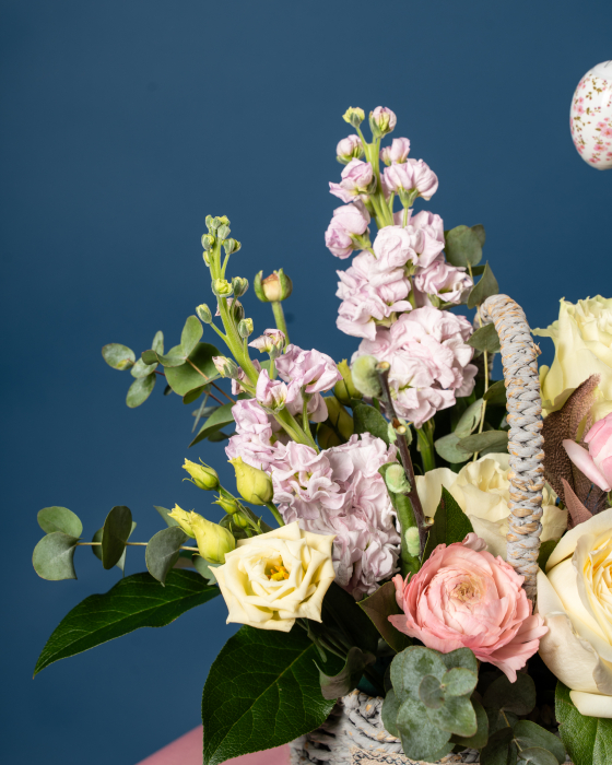 Primăvară în Coșuleț [2]