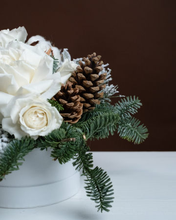 Rasuflare de nea [1]