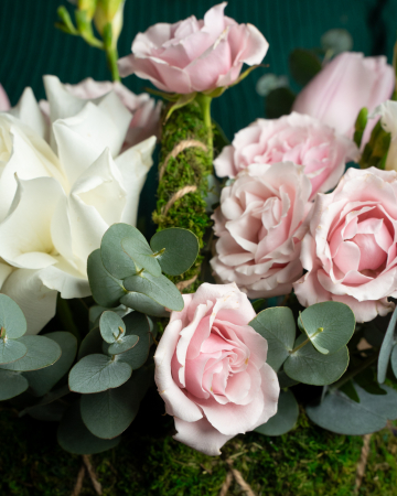 Coşuleț Delicat [3]