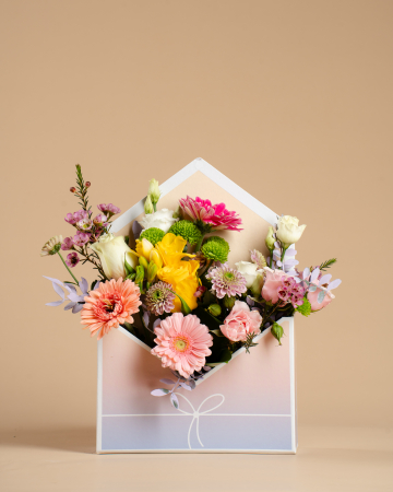 Categorii - Greetings