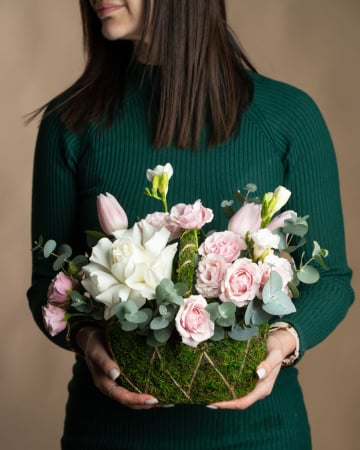 Categorii - Coşuleț Delicat