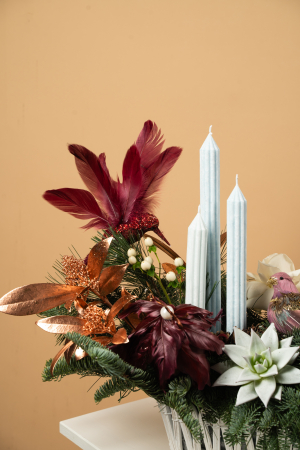 Aranjament Aripi de iarna [1]