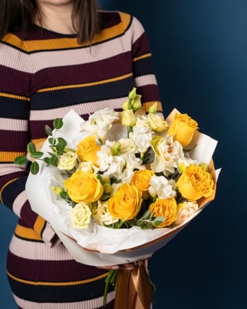 Categorii - O zi cu soare