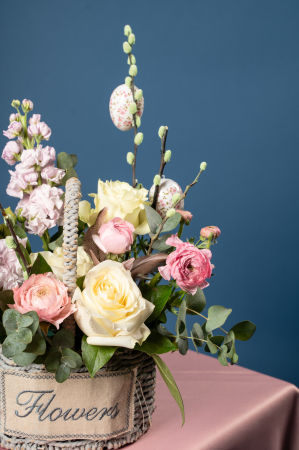 Primăvară în Coșuleț [2]