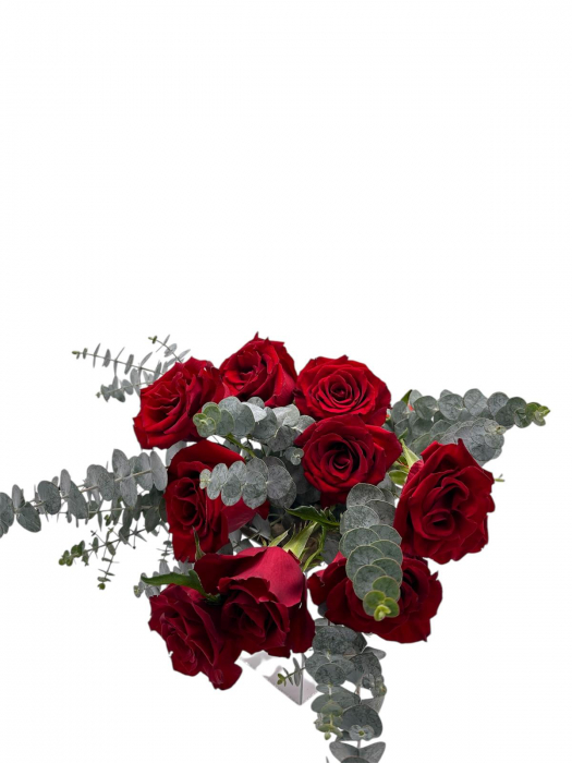Buchet 11 Trandafiri Rosii Freedom si 5 fire de Eucalipt [2]