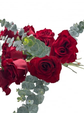 Buchete - Buchet 11 Trandafiri Rosii Freedom si 5 fire de Eucalipt