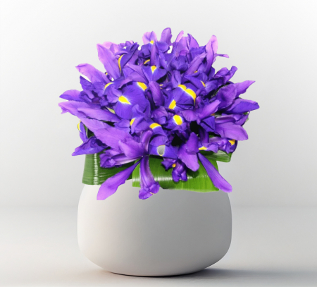 Aniversare de cuplu - Buchet cu 19 irisi mov