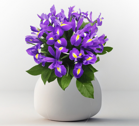 Aniversare de cuplu - Buchet cu 45 irisi mov