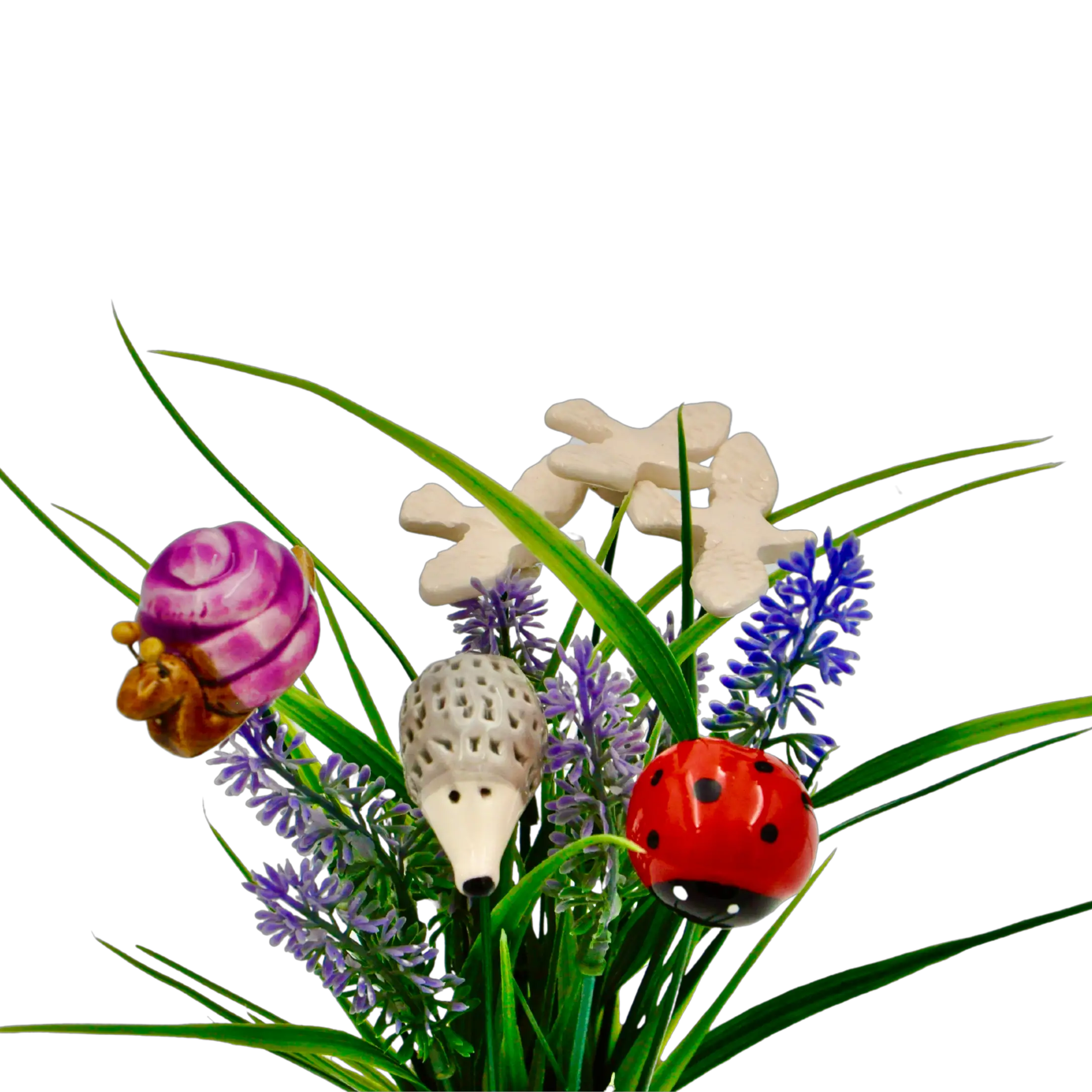 Animale, Ciuperci și Altele