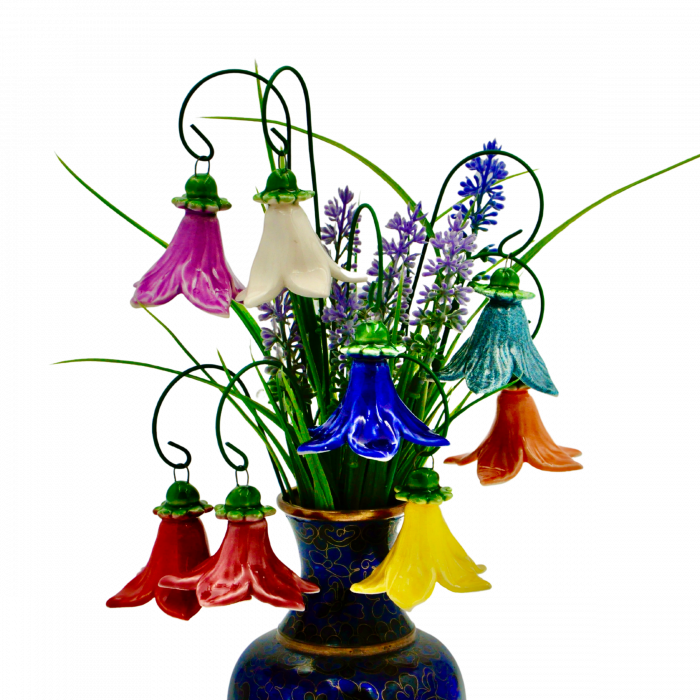 Floarea Clopoțel [1]