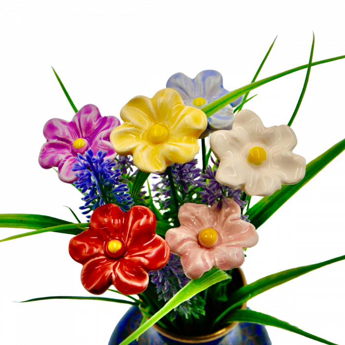 petunii-colorate [1]