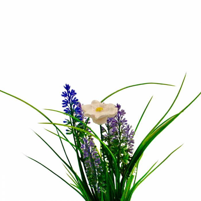 petunii-colorate [5]