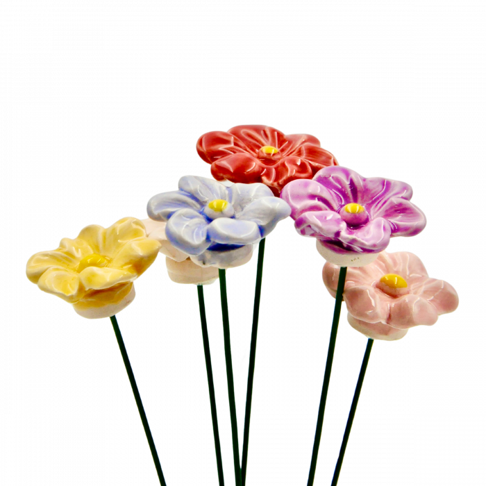 petunii-colorate [3]