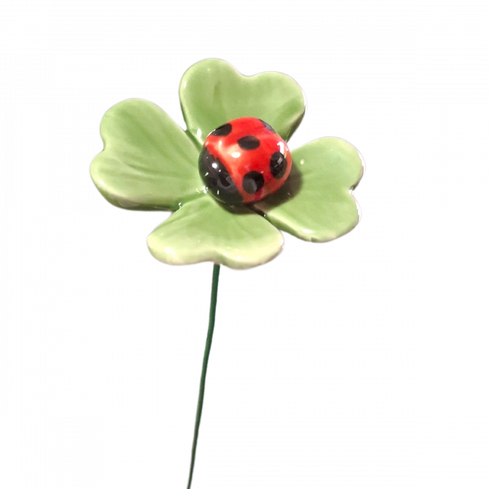 Trifoi cu Buburuza [1]