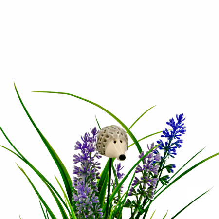 Flori din Ceramica - Arici