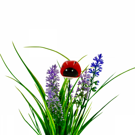 Flori din Ceramica - Buburuză