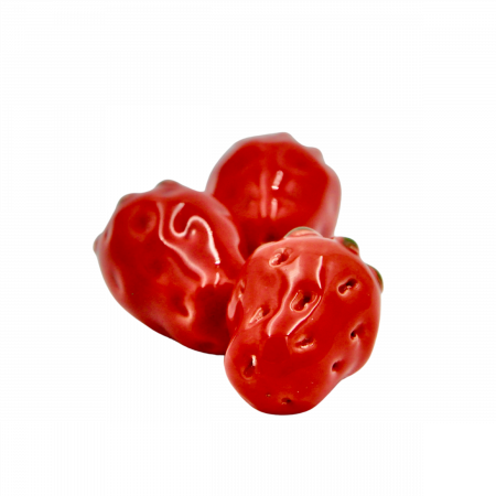 Flori din Ceramica - Căpșună