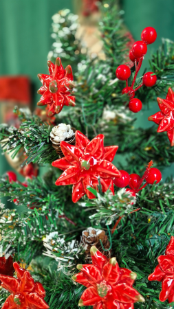 Flori din Ceramica - Crăciuniță