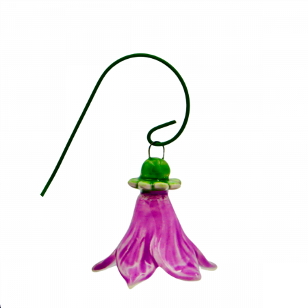 Floarea Clopoțel [1]