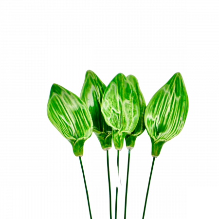 Flori din Ceramica - Frunză de Lalea