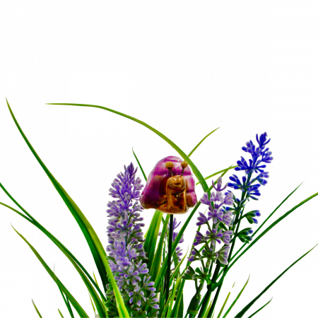 Flori din Ceramica - Melc