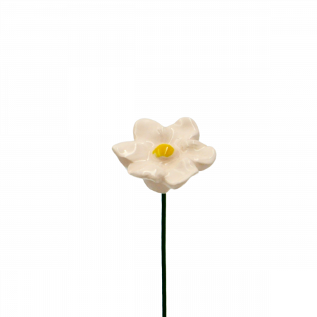 petunii-colorate [3]