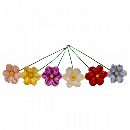 petunii-colorate [1]