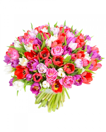 Flori pentru 1 și 8 Martie - Buchet 101 lalele multicolore