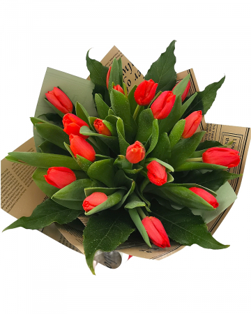 Buchet 19 lalele roșii [1]