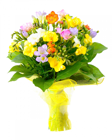 Flori pentru Mamă - Buchet 25 frezii multicolore