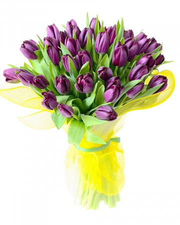 Flori pentru Fiică - Buchet 25 lalele mov
