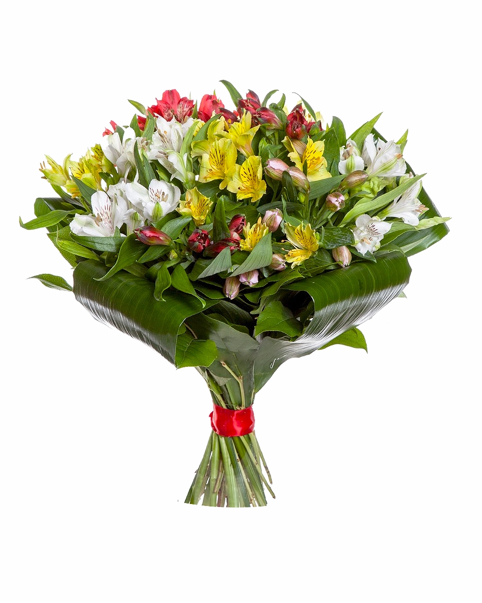 Flori pentru Bunică - Buchet 29 alstroemeria multicolore