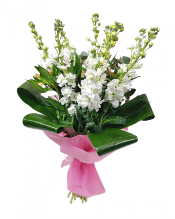 Buchete Flori - Buchet alb cu matthiola