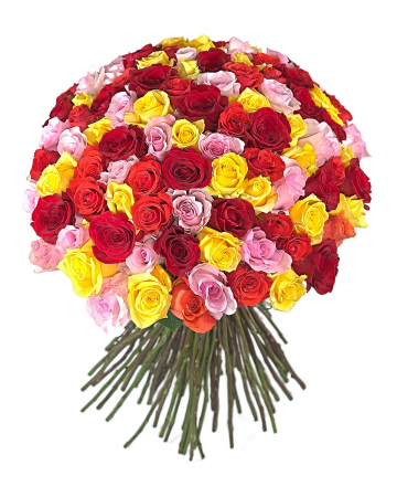 Buchete de trandafiri multicolori - Buchet cu 101 trandafiri roșii, portocalii, galbeni și roz