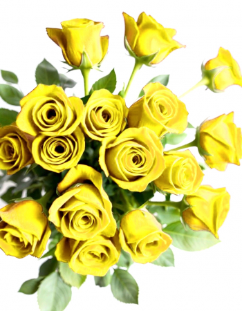 Buchete Flori - Buchet trandafiri galbeni personalizat