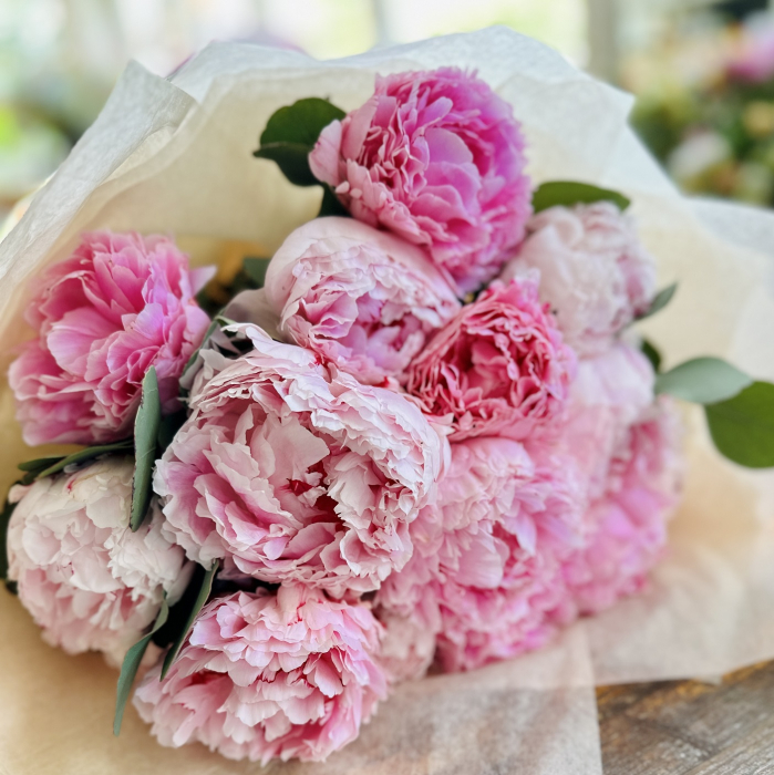 Buchet Bujori roz [1]