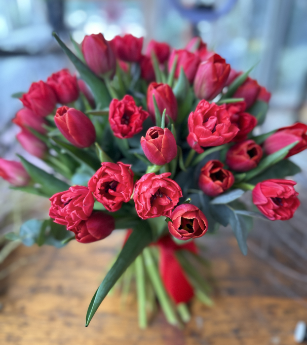Buchet cu 51 lalele Rosii Romania [3]