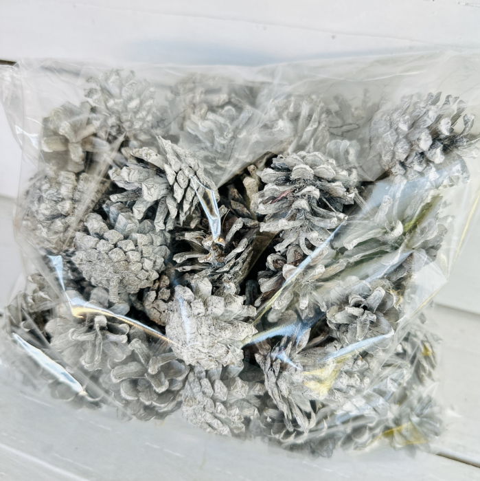 Conuri pin MICI ALBITE 60 buc [3]