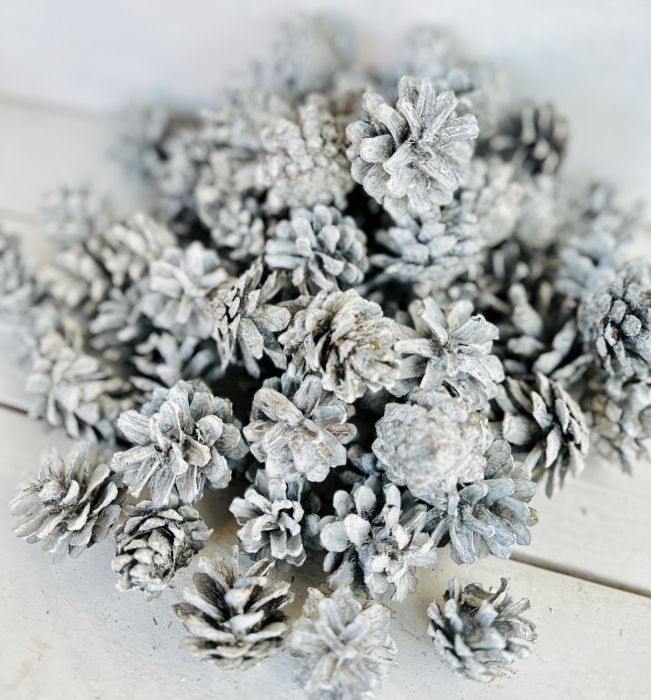 Conuri pin MICI ALBITE 60 buc [1]