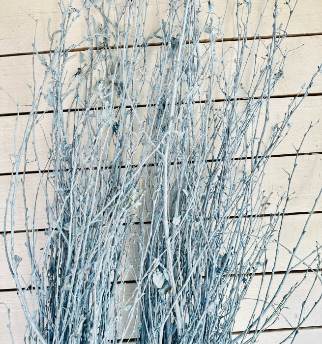 Crengi Mesteacăn Vopsite BLEU. BALOT 5 legături [2]