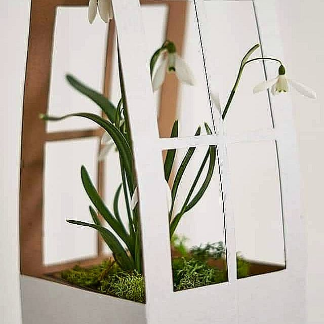 CUTII CARTON CĂSUȚĂ 2.98 lei. MIXT alb si craft. Set 100 bucăți. [4]