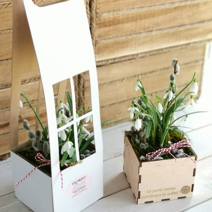 CUTII CARTON CĂSUȚĂ 2.98 lei. MIXT alb si craft. Set 100 bucăți. [3]