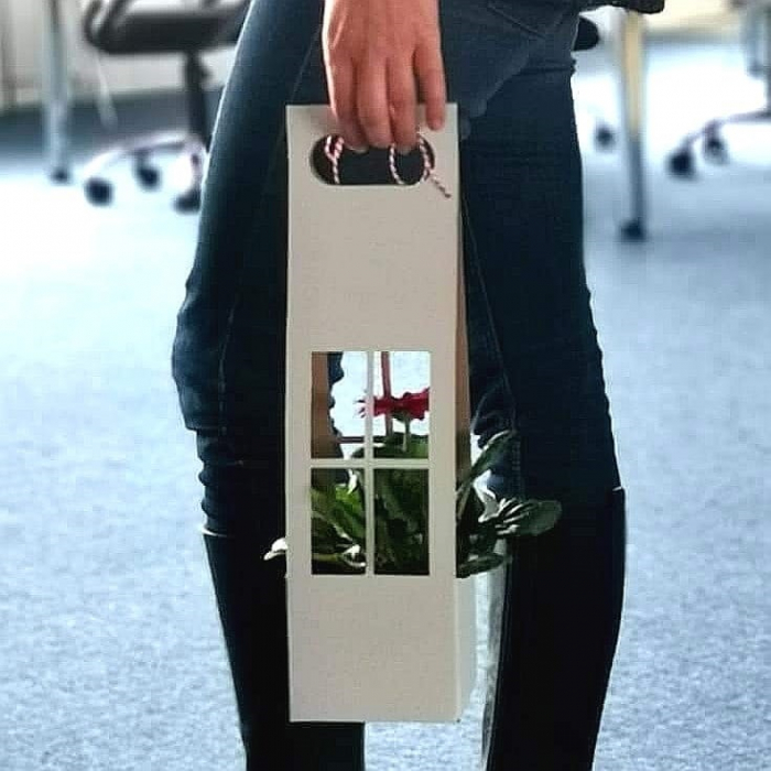 CUTII CARTON CĂSUȚĂ 2.98 lei. MIXT alb si craft. Set 100 bucăți. [1]