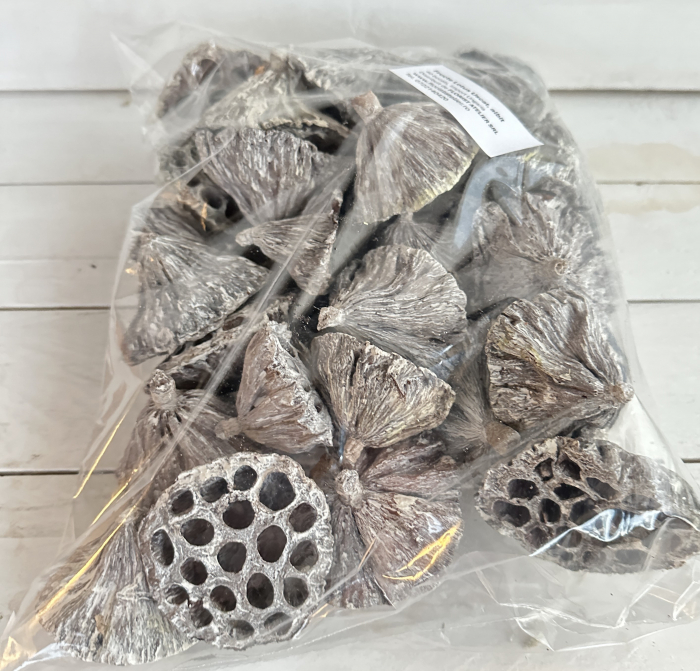 Fructe LOTUS Uscate ALBITE. 40 buc [2]