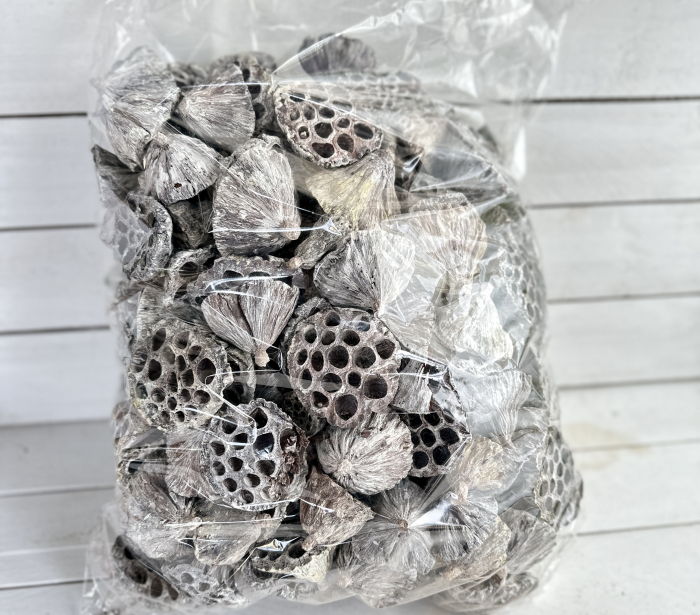 Fructe LOTUS Uscate ALBITE. SAC En gros. 200 + bucăți [1]